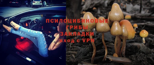крисы Алзамай