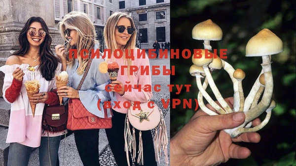 мяу мяу мука Алексеевка