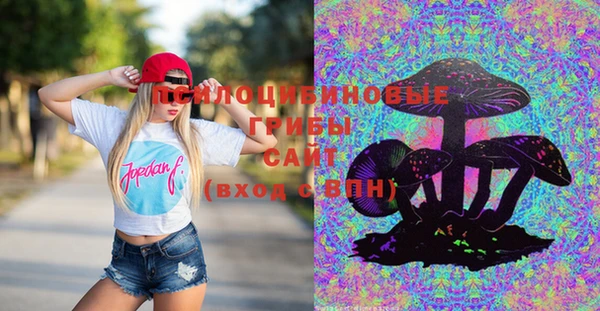 мяу мяу мука Алексеевка