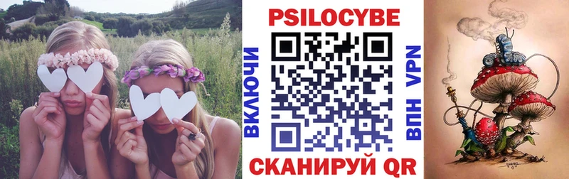 дарнет шоп  Неман  omg ссылки  Галлюциногенные грибы GOLDEN TEACHER 